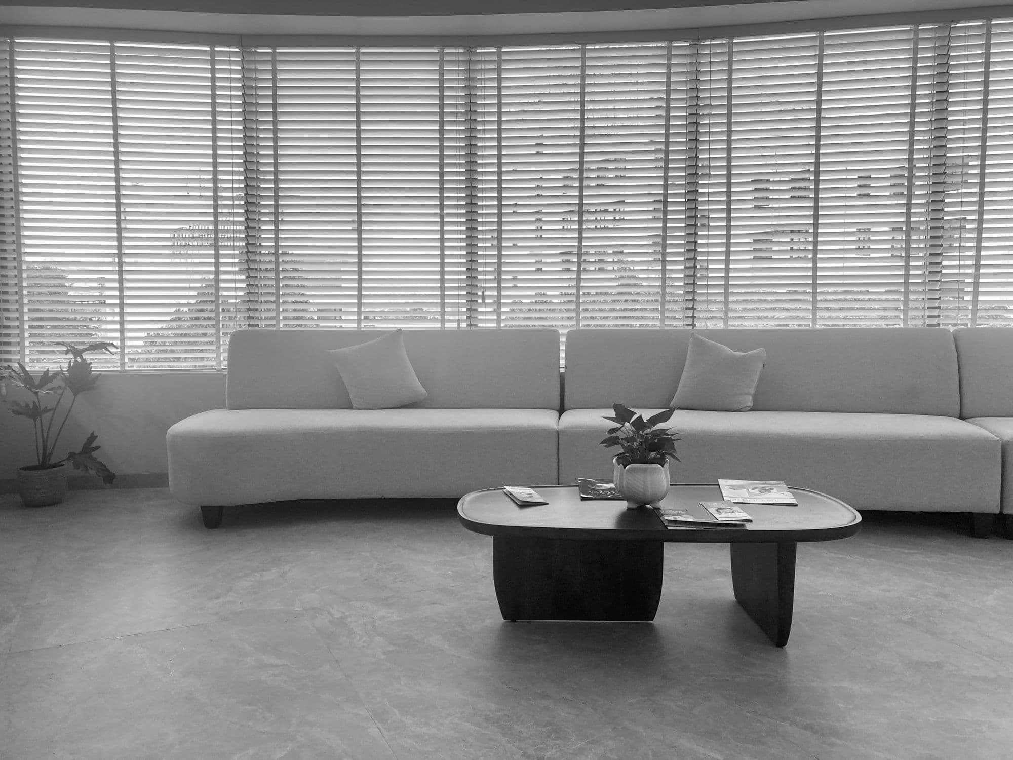 Minimal living room with fitted window blinds